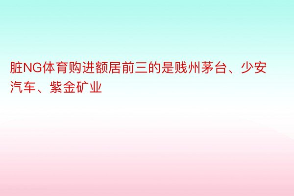 脏NG体育购进额居前三的是贱州茅台、少安汽车、紫金矿业