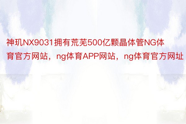 神玑NX9031拥有荒芜500亿颗晶体管NG体育官方网站，ng体育APP网站，ng体育官方网址