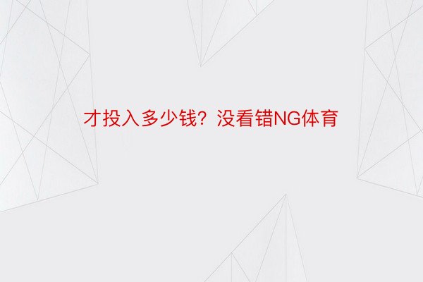 才投入多少钱？没看错NG体育