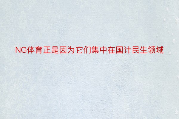 NG体育正是因为它们集中在国计民生领域